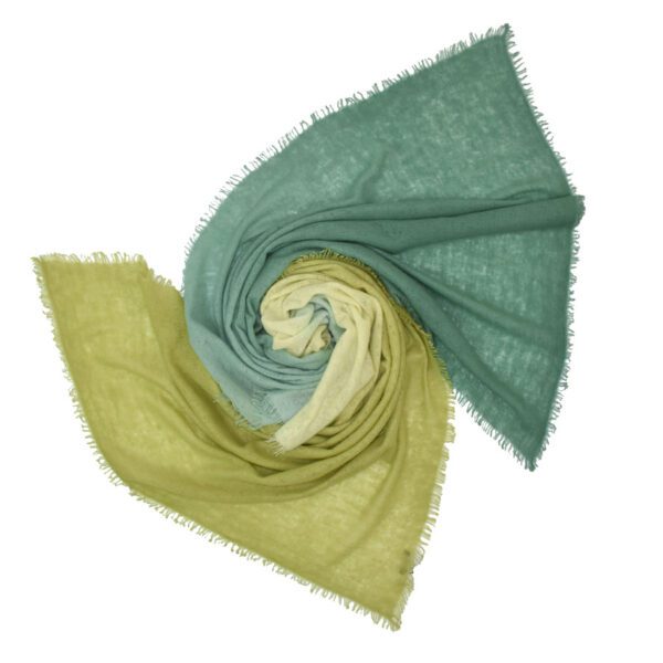 Two fringed scarves twisted together, one green and one yellow.